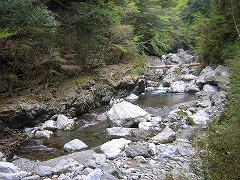 本沢川